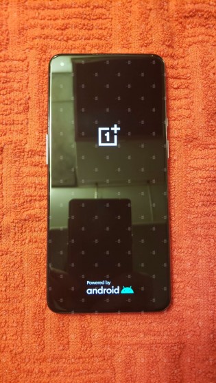 OnePlus 9 5G desde el frente