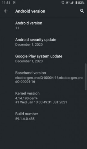 Xperia 10 II Android 11 update screen