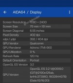 OnePlus 9 specs shown in  AIDA64 screenshots