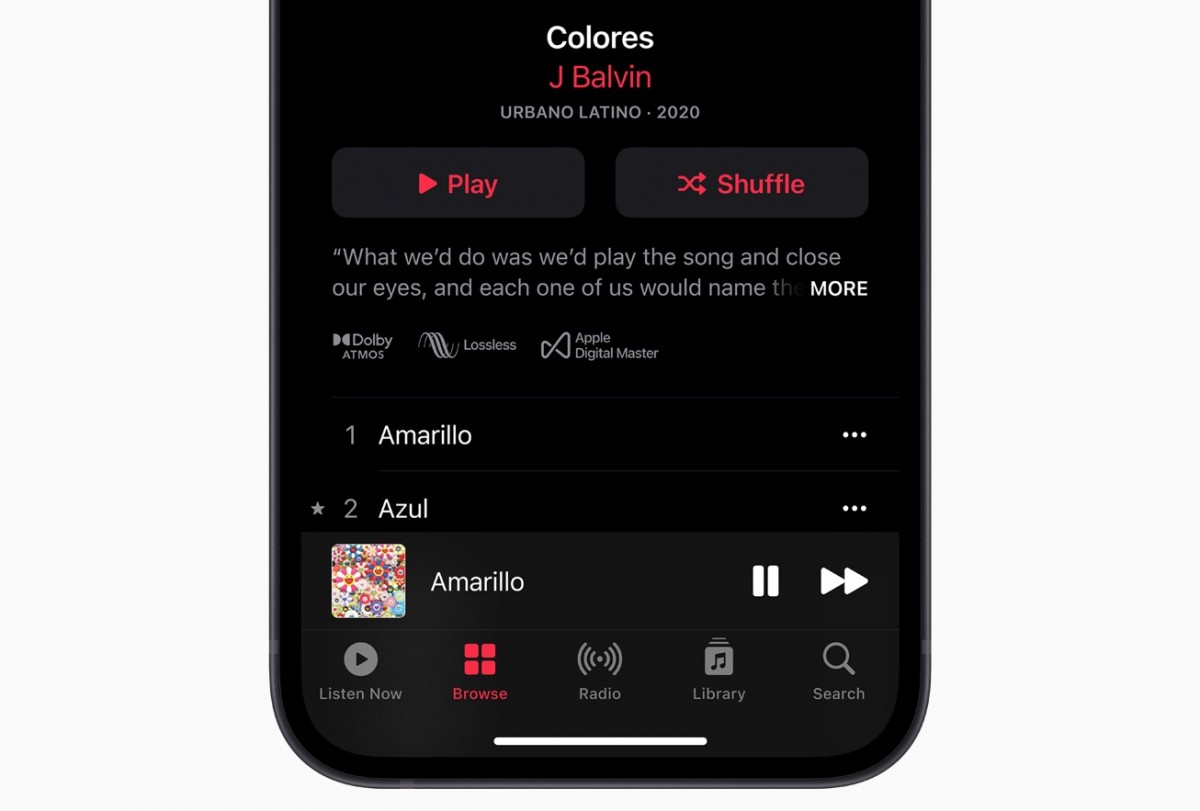 ios flac player