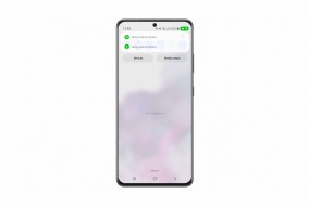 One UI 4 privacy options (image: Samsung)