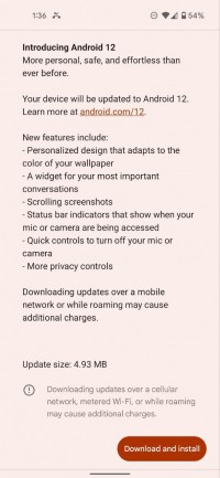 OTA update on Pixel 5 running latest build of Android 12 Beta