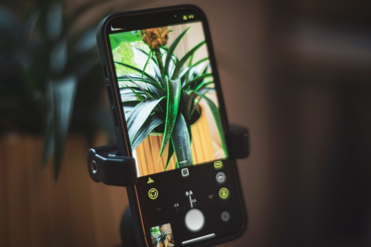 Halide 2.5 update brings macro mode to all iPhones