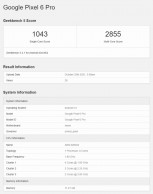 Scores Geekbench 5: Pixel 6 Pro