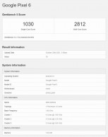 Scores Geekbench 5 : Pixel 6