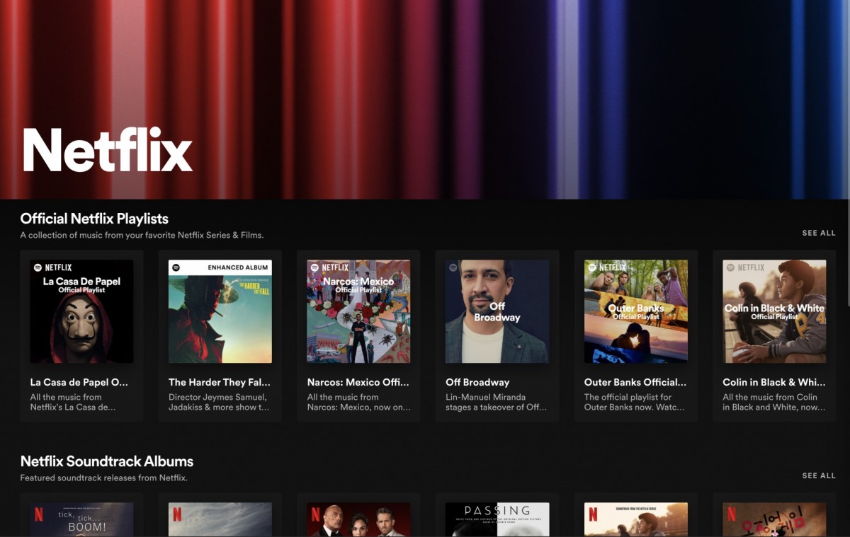 Spotify collaborates with Netflix to launch new dedicated Netflix Hub