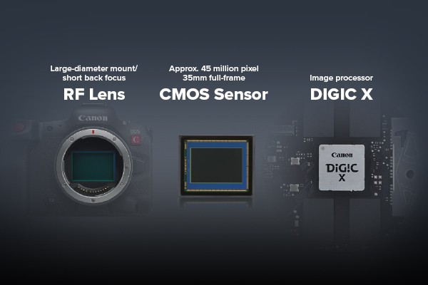 Canon EOS R5 C es una cámara híbrida Cinema EOS basada en la R5