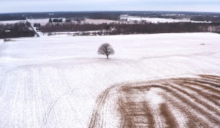 Land in New Albany where the plant will be built