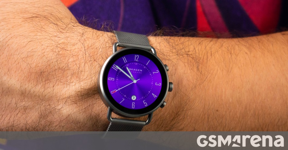 Skagen or 2024 fossil smartwatch