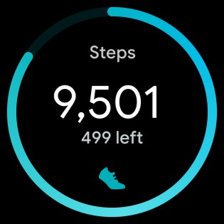 New step counter icon hints at Fitbit integration