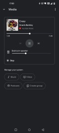 Google Home settings