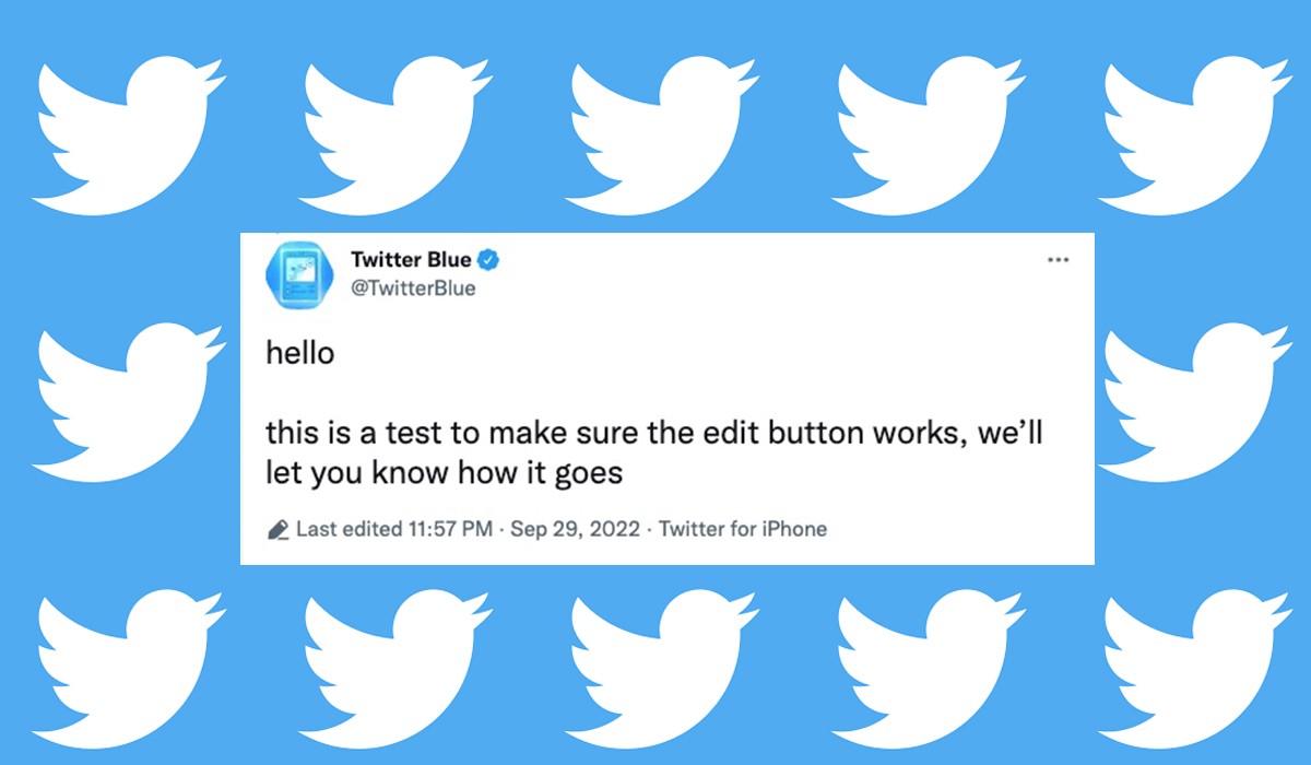 Elon Musk to increase the price of Twitter blue by 8 dollars