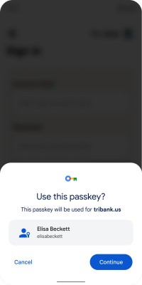 Using a passkey to sign in looks the same as using a stored password