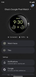 Google Pixel Watch app interface