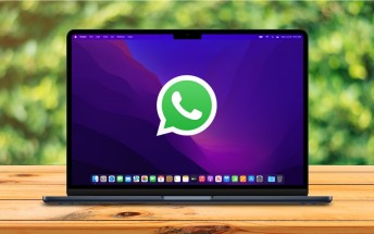 Native WhatsApp for macOS goes into public beta