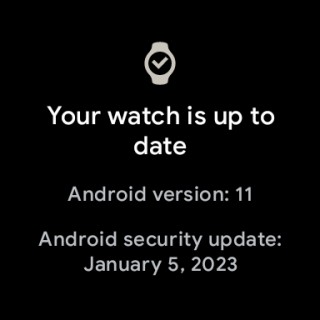 The Google Pixel Watch receives January update