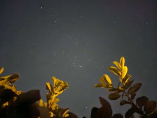 Próbka trybu nocnego z Galaxy S23 Ultra, źródło: Edwards Urbina na Twitterze