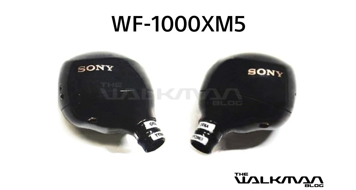 Sony WF-1000XM5 leak reveals the earbuds will be smaller than their predecessors