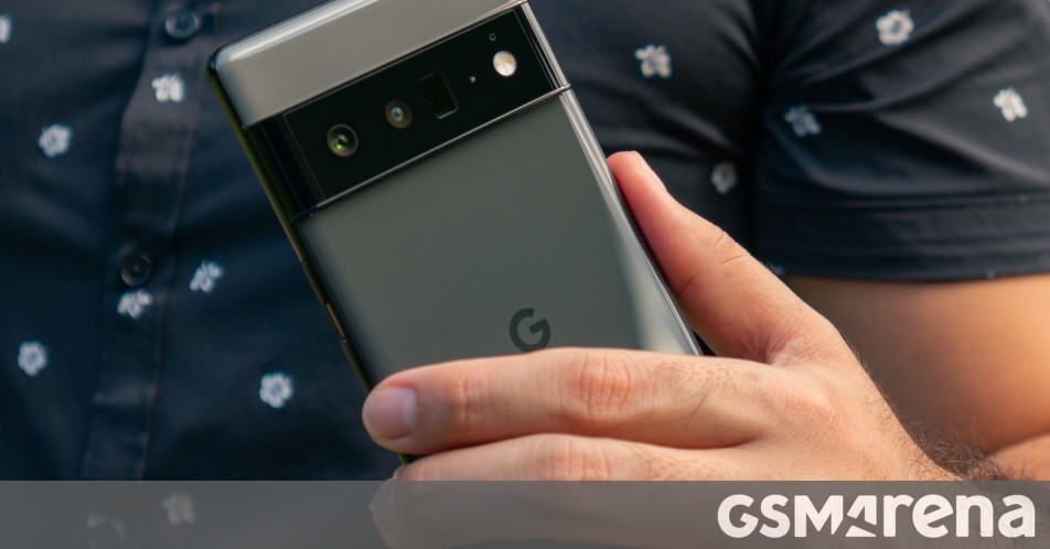 Google rolls out a camera update to Pixel 6 series, improves Night Sight