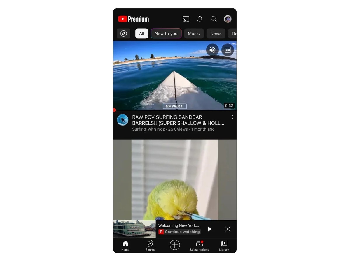 YouTube Premium gets five new features