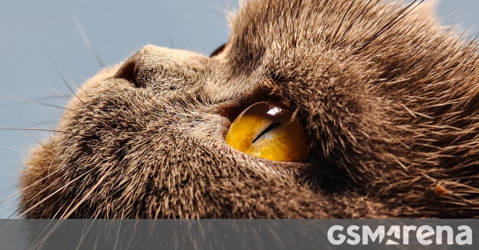 Realme shares a bunch of GT5 Pro telephoto camera samples ahead of launch