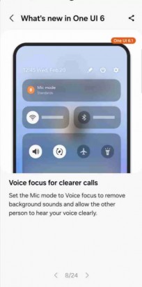 Call features on One UI 6.1