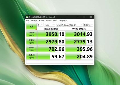 Geekbench 6 and disk speed