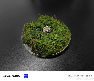 vivo X200 main and telephoto camera samples