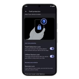 theft detection lock and remote lock