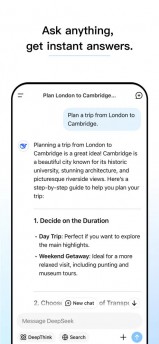Deepsek app on iOS