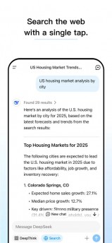 Deepsek app on iOS