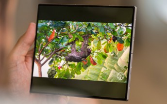 Leakster details iPhone Fold's display specs