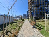 Daylight photo samples, 0.6x: Galaxy A56 - f/2.2, ISO 40, 1/1238s - Samsung Galaxy A56 vs. Galaxy S24 FE