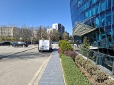 Daylight photo samples, 1x: Galaxy A56 - f/1.8, ISO 50, 1/1153s - Samsung Galaxy A56 vs. Galaxy S24 FE