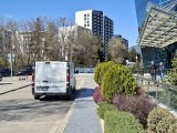 Daylight photo samples, 2x: Galaxy A56 - f/1.8, ISO 50, 1/1168s - Samsung Galaxy A56 vs. Galaxy S24 FE