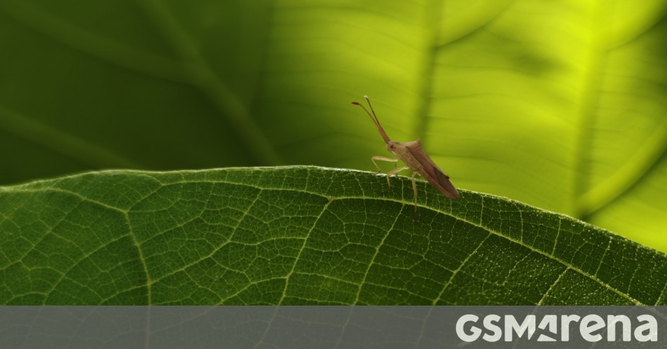 Check out some early camera samples from the OnePlus 13s