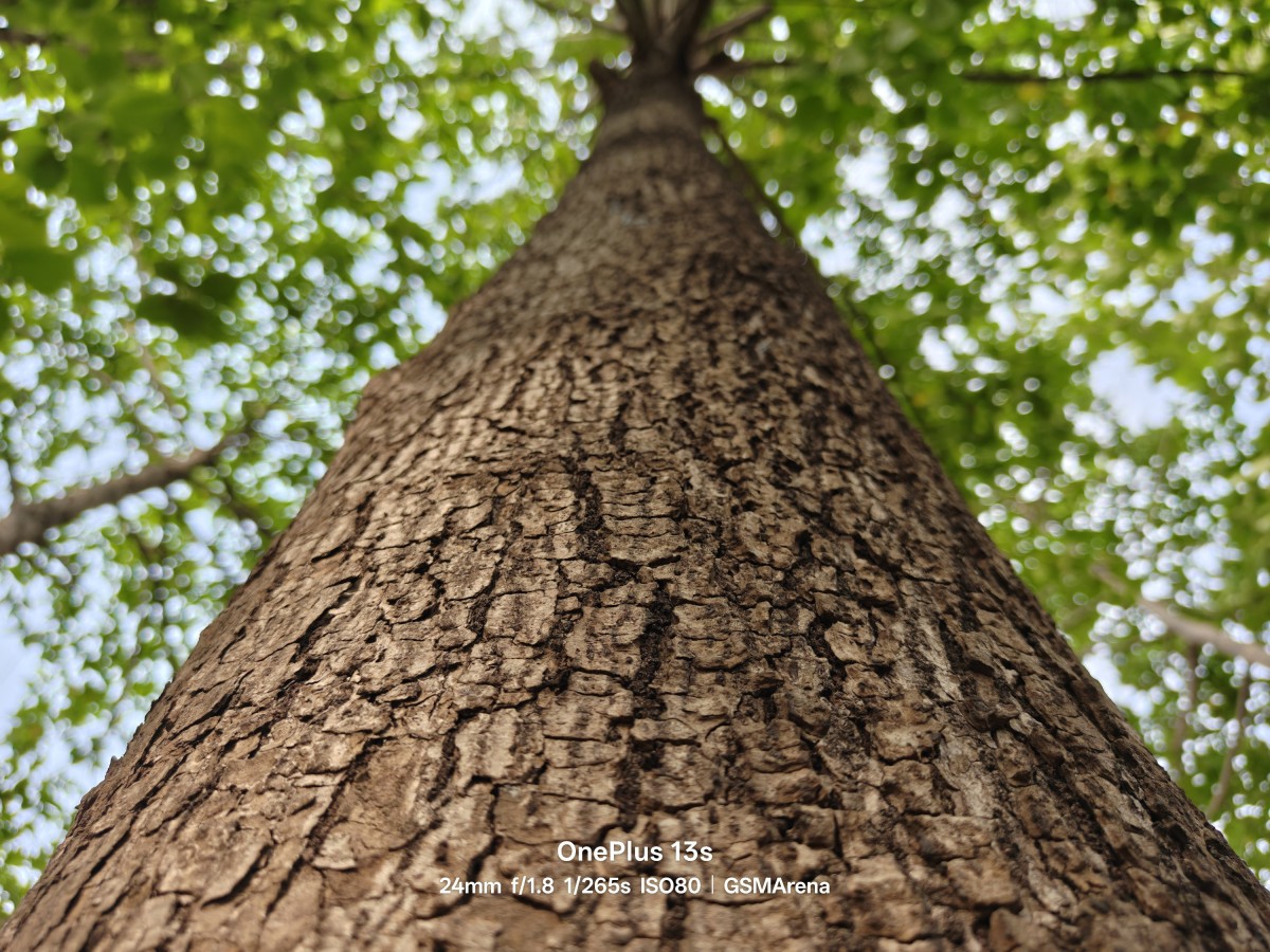 See some initial camera samples from OnePlus 13s
