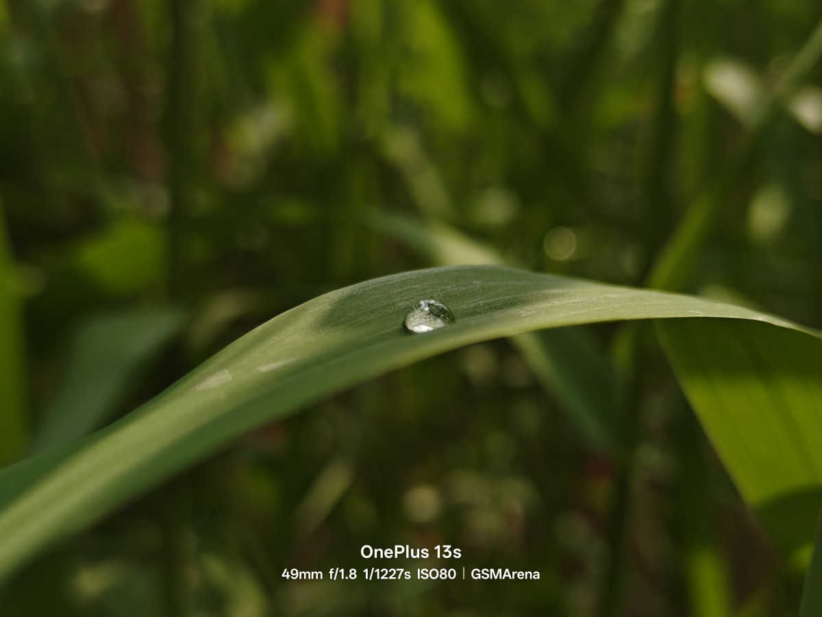 See some initial camera samples from OnePlus 13s