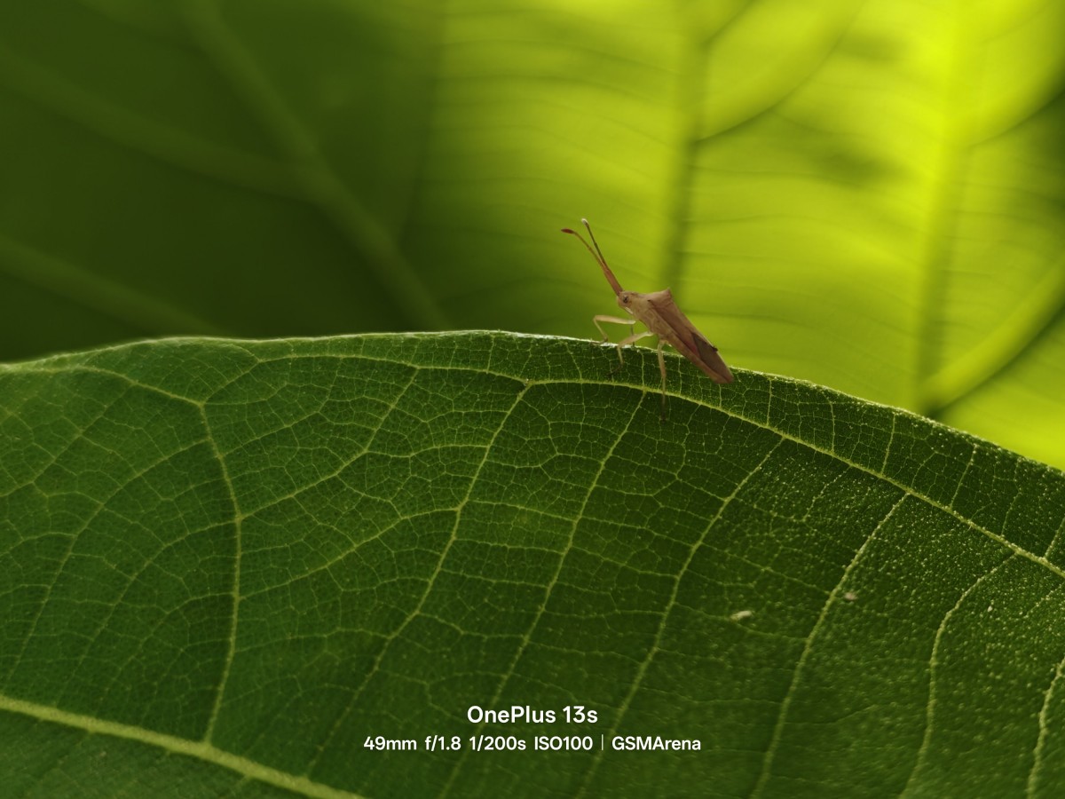 See some initial camera samples from OnePlus 13s