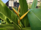 Camera samples
