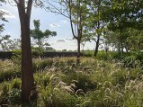 Camera samples