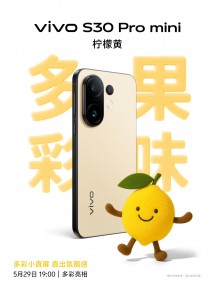 Live S30 Pro Mini