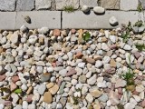 23mm zoomed in vs 35mm: vivo X100 Ultra - f/1.8, ISO 50, 1/2865s - vivo X200 Ultra vs. X100 Ultra camera battle