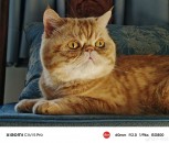 Xiaomi Civi 5 Pro camera samples