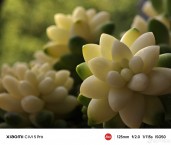 Xiaomi Civi 5 Pro camera samples