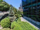 Honor 400 Pro: 0.6x - f/2.2, ISO 50, 1/840s - Honor 400 vs. Honor 400 Pro review