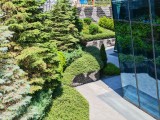 Honor 400 Pro: 2x - f/1.9, ISO 50, 1/380s - Honor 400 vs. Honor 400 Pro review