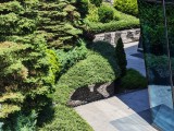 Honor 400 Pro: 3x - f/2.4, ISO 50, 1/470s - Honor 400 vs. Honor 400 Pro review