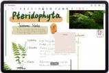 Magic Memos