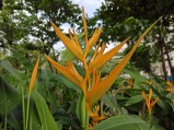 Main camera (f/1.8, ISO 50, 1/742s)